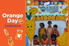 Orange Day Celebrations 2025